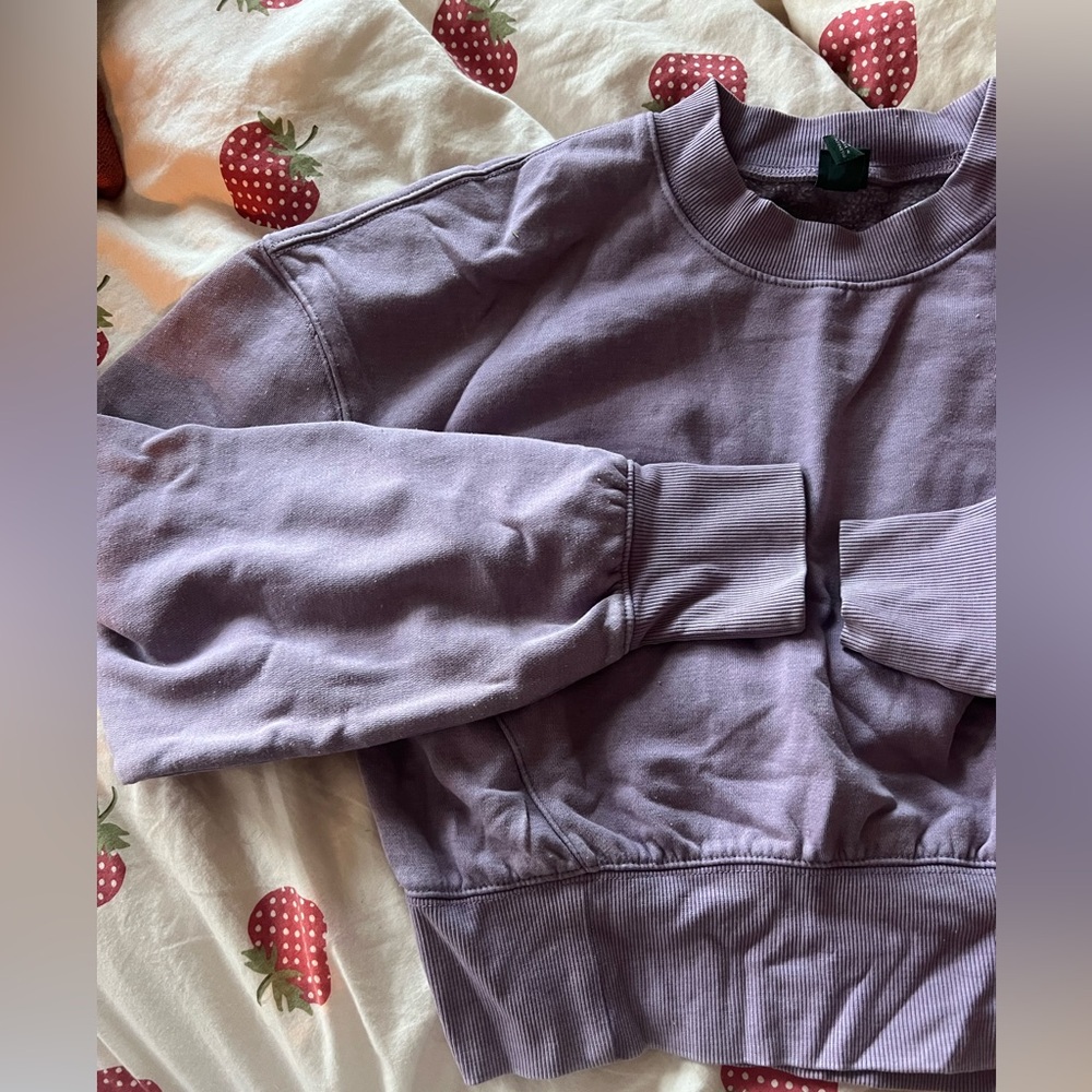wild fable cropped crew neck